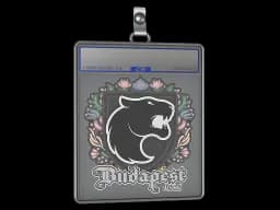 Sticker Slab | FURIA | Budapest 2025