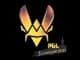 Sticker | Vitality | Stockholm 2021 CS2 skin