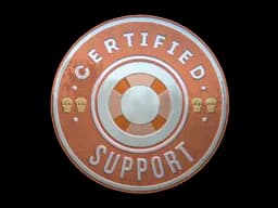 Sticker | Support (Foil)