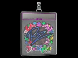 Sticker Slab | REZ (Holo) | Budapest 2025