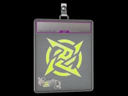 Sticker Slab | Ninjas in Pyjamas (Holo) | Paris 2023