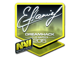 Sticker | flamie (Foil) | Cluj-Napoca 2015