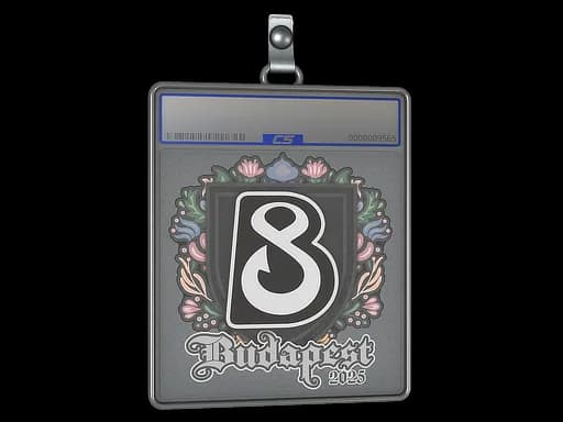 Sticker Slab | B8 | Budapest 2025