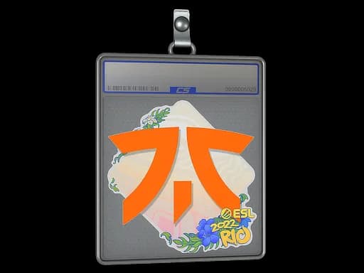 Sticker Slab | Fnatic | Rio 2022