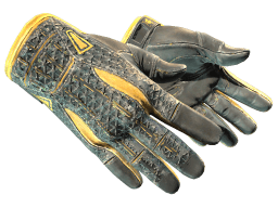 ★ Sport Gloves | Omega (Well-Worn)
