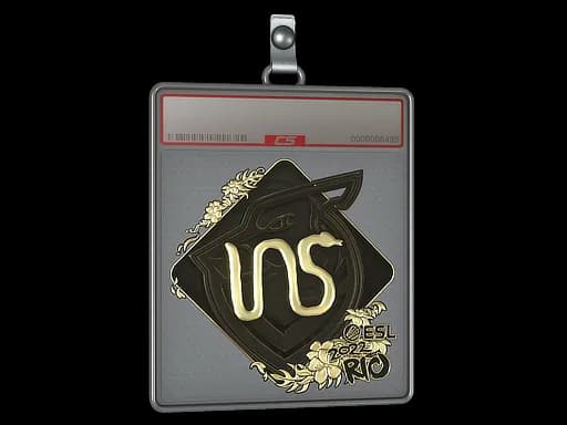 Sticker Slab | INS (Gold) | Rio 2022