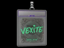 Sticker Slab | vexite (Foil) | Austin 2025