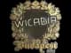Sticker | Wicadia (Gold) | Budapest 2025 CS2 skin