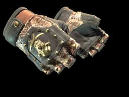 ★ Bloodhound Gloves | Snakebite (Well-Worn)