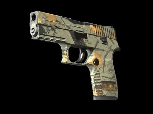 P250 | Modern Hunter (Well-Worn)