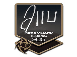 Sticker | allu | Cluj-Napoca 2015