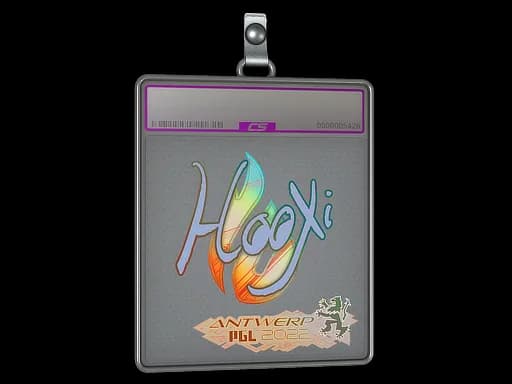 Sticker Slab | HooXi (Holo) | Antwerp 2022