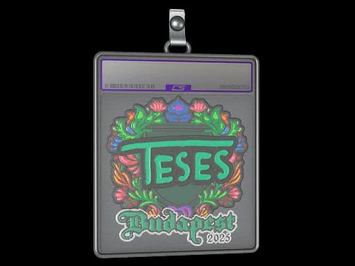 Sticker Slab | TeSeS (Embroidered) | Budapest 2025