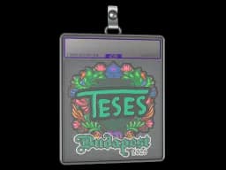 Sticker Slab | TeSeS (Embroidered) | Budapest 2025