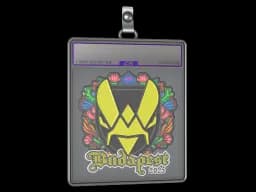 Sticker Slab | Vitality (Embroidered) | Budapest 2025