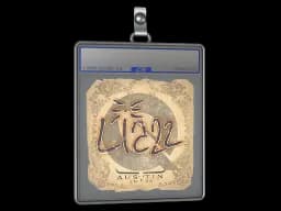 Sticker Slab | Liazz | Austin 2025