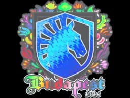 Sticker | Team Liquid (Holo) | Budapest 2025