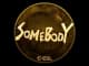 Sticker | somebody (Gold) | Katowice 2019 CS2 skin