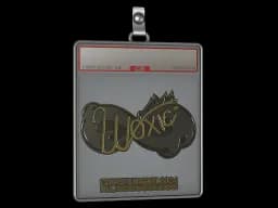 Sticker Slab | woxic (Gold) | Copenhagen 2024