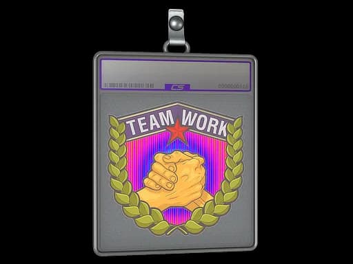Sticker Slab | Teamwork (Holo)