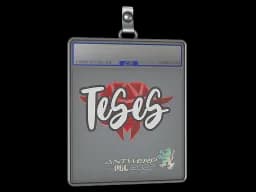 Sticker Slab | TeSeS | Antwerp 2022