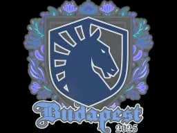 Sticker | Team Liquid | Budapest 2025
