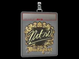 Sticker Slab | nitr0 (Gold) | Budapest 2025