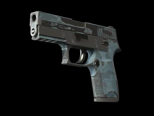 P250 | Forest Night (Battle-Scarred)