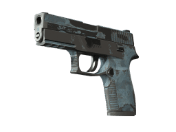 P250 | Forest Night (Battle-Scarred)