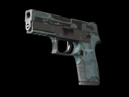 P250 | Forest Night (Battle-Scarred)