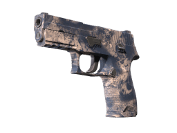 P250 | Drought (Minimal Wear)