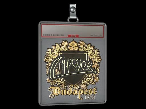 Sticker Slab | Cypher (Gold) | Budapest 2025