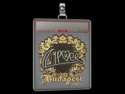 Sticker Slab | Cypher (Gold) | Budapest 2025