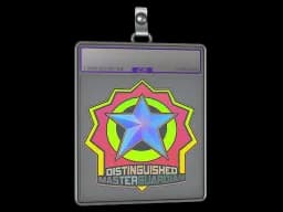 Sticker Slab | Distinguished Master Guardian (Holo)