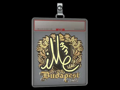 Sticker Slab | iM (Gold) | Budapest 2025