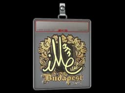 Sticker Slab | iM (Gold) | Budapest 2025