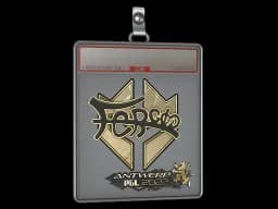 Sticker Slab | fer (Gold) | Antwerp 2022