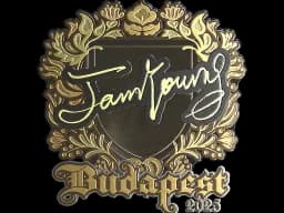 Sticker | JamYoung (Gold) | Budapest 2025