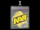 Sticker Slab | Natus Vincere | Rio 2022 CS2 skin