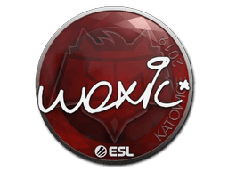 woxic | Katowice 2019