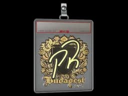 Sticker Slab | PR (Gold) | Budapest 2025
