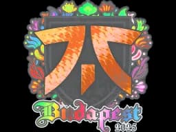 Sticker | fnatic (Holo) | Budapest 2025