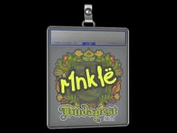 Sticker Slab | r1nkle | Budapest 2025