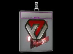 Sticker Slab | Avangar (Foil) | Boston 2018