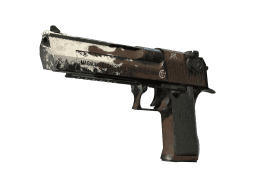 StatTrak™ Desert Eagle | Oxide Blaze (Field-Tested)