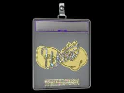 Sticker Slab | woxic (Glitter) | Copenhagen 2024