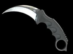★ StatTrak™ Karambit