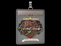 Sticker Slab | somebody (Gold) | Berlin 2019