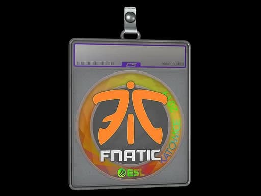 Sticker Slab | Fnatic (Holo) | Katowice 2019