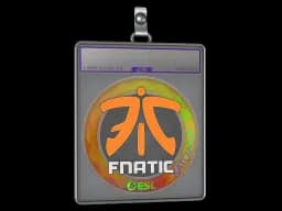 Sticker Slab | Fnatic (Holo) | Katowice 2019